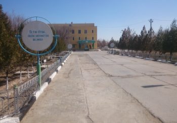 Корхонамизда бахорги ободонлаштириш ишлари.